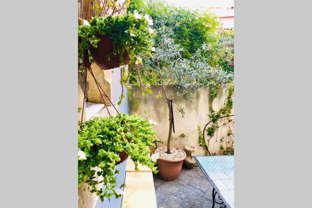 فيلا Oli'S Charming House كاتانيا المظهر الخارجي الصورة