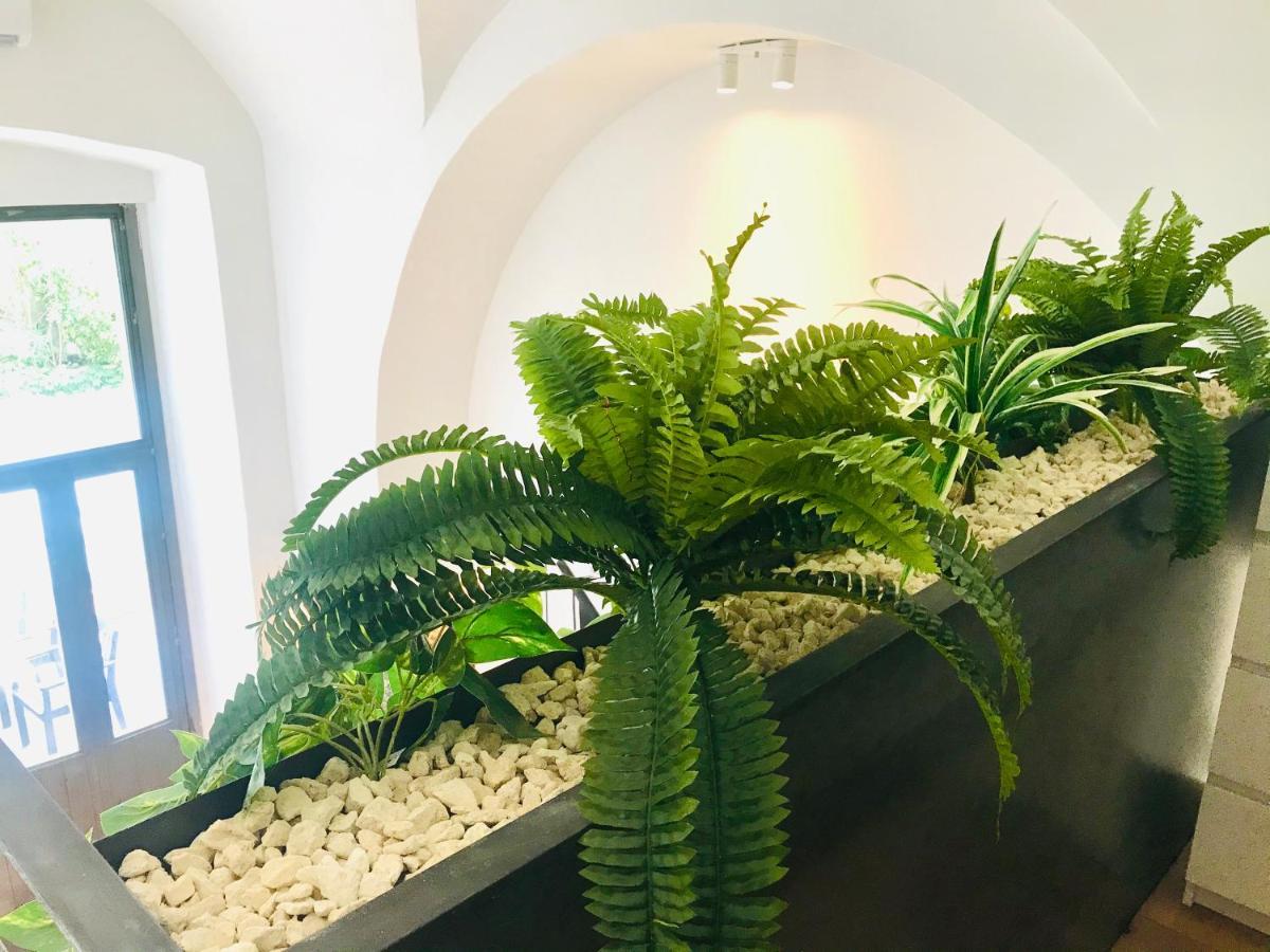 فيلا Oli'S Charming House كاتانيا المظهر الخارجي الصورة
